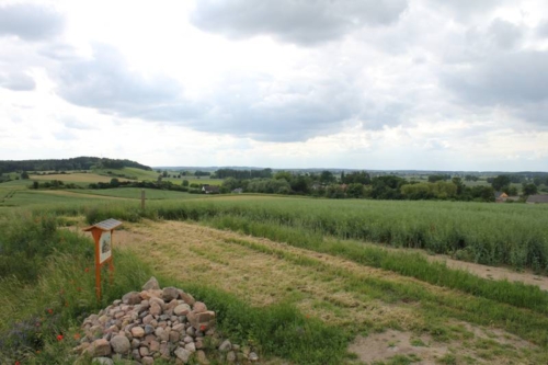 Ferienwohnung Grumsinblick: Aussicht vom Drebitzberg bei Klein Ziethen