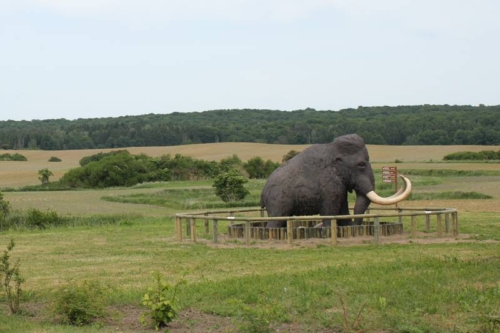 Ferienwohnung Grumsinblick: Maskottchen des Geoparks "Eiszeitland am Oderland""
