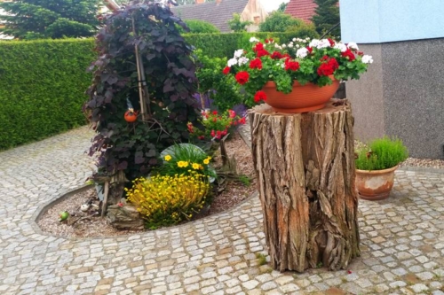 Ferienwohnung_Grumsinblick_Garten_6