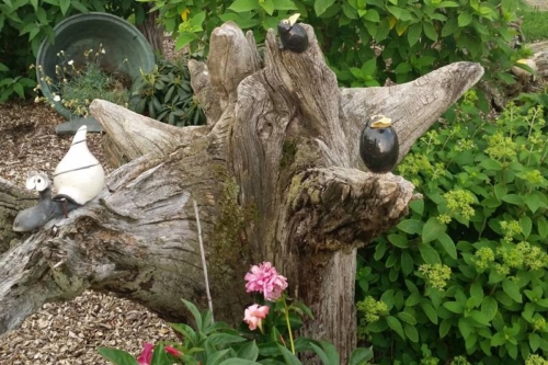 Ferienwohnung_Grumsinblick_Garten_7